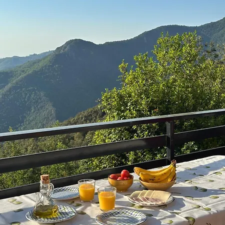 Mas Eucaliptus Σπίτι διακοπών *